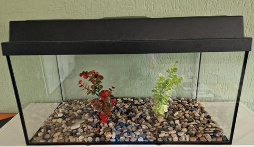 Aquarium 60x30, Dieren en Toebehoren, Vissen | Aquaria en Toebehoren, Gebruikt, Leeg aquarium, Ophalen