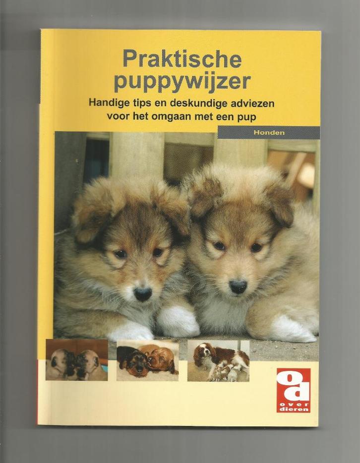 Praktische puppywijzer, Boeken, Dieren en Huisdieren, Nieuw, Honden, Ophalen of Verzenden