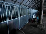 Paardenboxen 10 stuks gekoppeld., Stalling