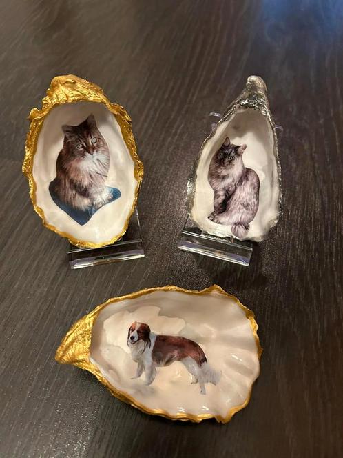 Je eigen kat in een oester schelp katten foto nieuw, Dieren en Toebehoren, Katten-accessoires, Nieuw, Ophalen of Verzenden