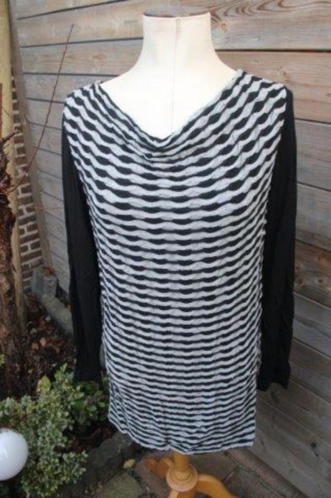 Tuniek zwart/ grijs Evelin Brandt mt 42 Vaste prijs OPRUIMIN, Kleding | Dames, Blouses en Tunieken, Zo goed als nieuw, Maat 42/44 (L)