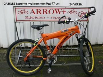 GAZELLE EXTREME beschikbaar voor biedingen