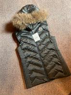 Bodywarmer Dames Maat S, Kleding | Dames, Bodywarmers, Ophalen of Verzenden, Nieuw, Maat 36 (S), Grijs