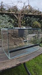 Terrarium 60x40x40, Dieren en Toebehoren, Reptielen en Amfibieën, 3 tot 6 jaar