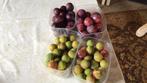 Diverse soorten pruimen te koop, Diversen, Ophalen