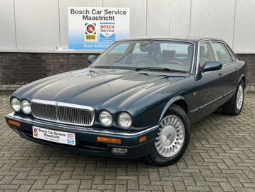 Jaguar XJ-12 | 6.0 V12 | Well Maintained | Originally Dutch  beschikbaar voor biedingen