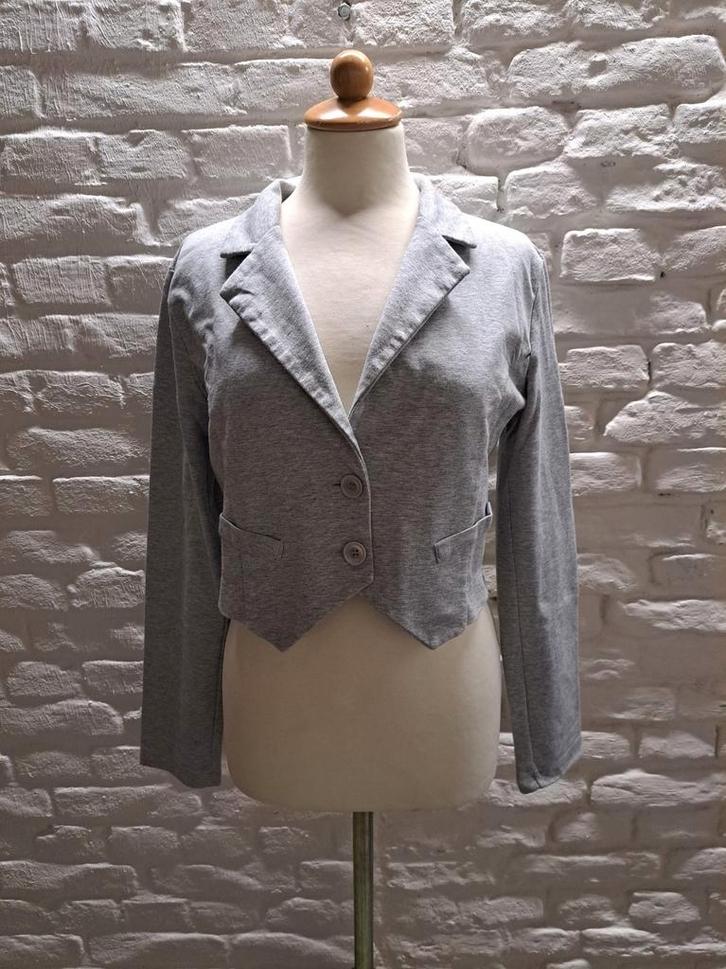 Mooi vest, identita maat 42, Kleding | Dames, Jasjes, Kostuums en Pakken, Zo goed als nieuw, Jasje, Maat 42/44 (L), Grijs, Verzenden