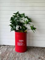 Grote voorraad 100L olievat vuurkorf brandton blik vat drum, Ophalen, Zo goed als nieuw, Rond