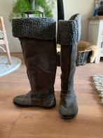 Replay laarzen 38 grijs suede met bontvoering, Ophalen of Verzenden, Zo goed als nieuw, Grijs, Hoge laarzen