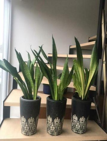 Grote zware terracotta bloempotten 31cm met ornamenten beschikbaar voor biedingen