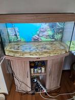 Juwel vision aquarium, Dieren en Toebehoren, Ophalen, Gebruikt, Gevuld zoetwateraquarium