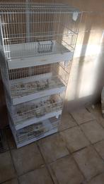 vogelkooi  toren met 4 kooitje op elkaar, Ophalen, Zo goed als nieuw, Kunststof, Broedkooi of Kweekkooi