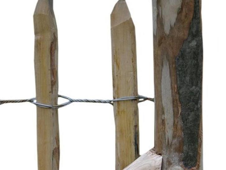 Kastanjepaal geschild dia 6/8cm a 150cm lang, Tuin en Terras, Palen, Balken en Planken, Nieuw, Palen, Minder dan 180 cm, Ophalen