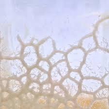 Microwormen & Azijnaaltjes, Dieren en Toebehoren, Vissen | Aquaria en Toebehoren, Nieuw, Overige typen, Ophalen of Verzenden