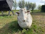 Groot staand stenen schaap Winterhard89x45x64 Brusewitz Art, Ophalen, Gebruikt, Steen