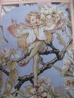 Groot Vintage Poesieplaatje uit 1996 - Flower Fairy, Verzenden
