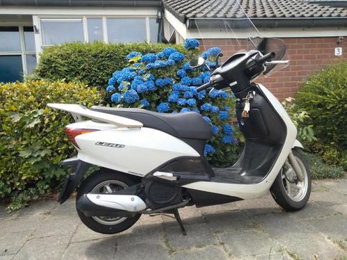 Honda Lead 110 cc bj 2008 lage kilometerstand zeer zuinig., Motoren, Motoren | Honda, Particulier, Scooter, Ophalen