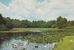 HAREN Vijver Burg. Boeremapark met Eenden, Verzenden, 1960 tot 1980, Gelopen, Groningen