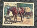 Fraaie schoolplaat met paarden, Antiek en Kunst, Antiek | Schoolplaten, Ophalen of Verzenden, Huis en Tuin