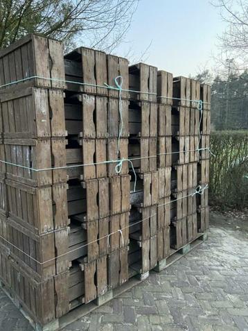 Veilingkisten / fruitkisten / appelkisten van hout te koop. beschikbaar voor biedingen