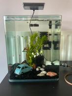 Aquarium voor vissen (complete set), Dieren en Toebehoren, Ophalen, Zo goed als nieuw, Leeg aquarium