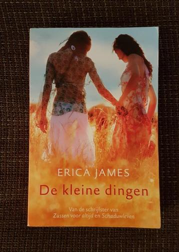 Boek: De kleine dingen, Erica James beschikbaar voor biedingen