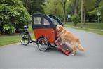 Babboe Dog - Bakfiets Hondenbakfiets met regentent
