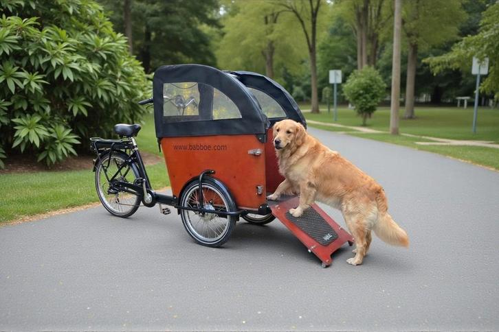 Babboe Dog - Bakfiets Hondenbakfiets met regentent, Fietsen en Brommers, Fietsen | Bakfietsen, Gebruikt, Overige merken, Goederen