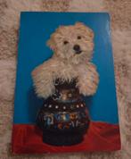 Wit hondje in een vaas, Verzenden, 1980 tot heden, Gelopen, Hond of Kat