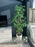 Grote Kunstplant Bamboe in Pot - 200 cm, 200 cm of meer, Overige soorten, In pot, Groene kamerplant