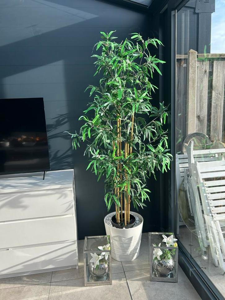 Grote Kunstplant Bamboe in Pot - 200 cm, Huis en Inrichting, Kamerplanten, Overige soorten, 200 cm of meer, Groene kamerplant