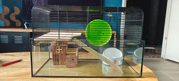 Te koop Hamster/gerbil kooi + gerbarium  beschikbaar voor biedingen
