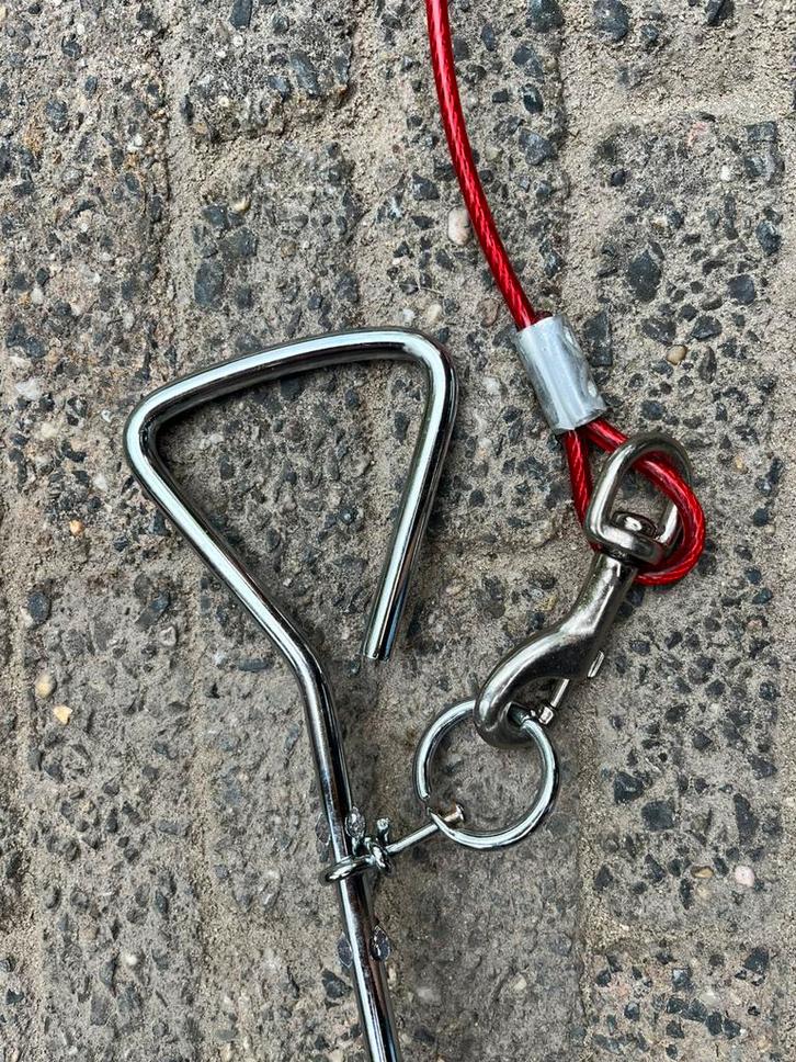 Aanlegketting met bodempin voor het aanleggen van huisdieren, Dieren en Toebehoren, Honden-accessoires, Zo goed als nieuw, Ophalen