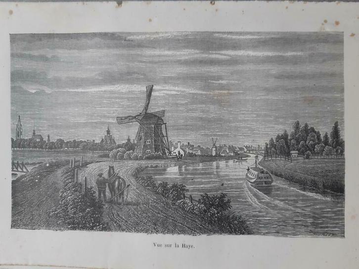06 / Gezicht op Den Haag met haar molens Gravure uit 1884, Antiek en Kunst, Kunst | Etsen en Gravures, Ophalen of Verzenden