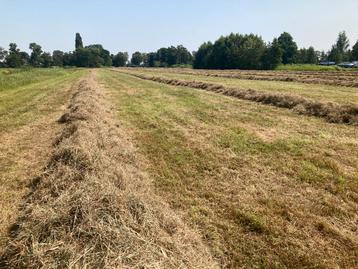 Hooi foliebalen - veevoer - natuurhooi beschikbaar voor biedingen