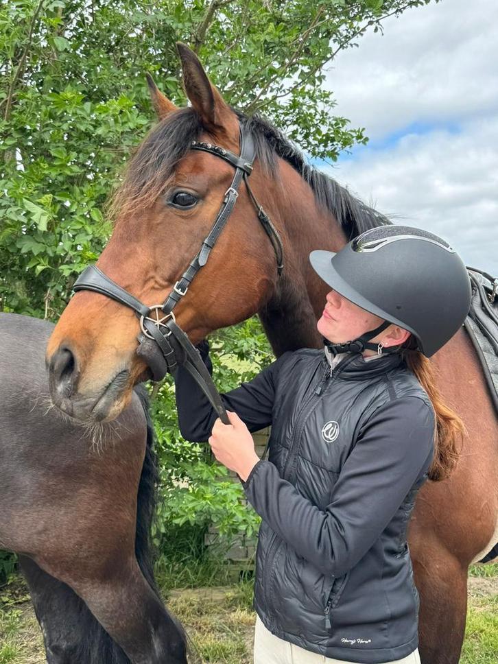 Leasepaard aangeboden, Dieren en Toebehoren, Paarden en Pony's | Verzorgingsproducten, Ophalen of Verzenden