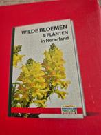 Wilde Bloemen & Planten in Nederland, Ophalen of Verzenden, Nieuw, Bloemen, Planten en Bomen