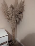 Pampasgras inc vaas, Ophalen, Zo goed als nieuw