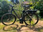 Cannondale DL50 Fatty, Fietsen en Brommers, Overige merken, Gebruikt, Ophalen of Verzenden, 50 km per accu of meer