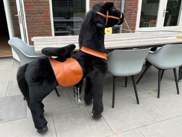 Rijpaard Ponycycle beschikbaar voor biedingen