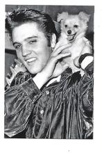 Elvis Presley (15), Verzenden, 1960 tot 1980, Ongelopen, Sterren en Beroemdheden