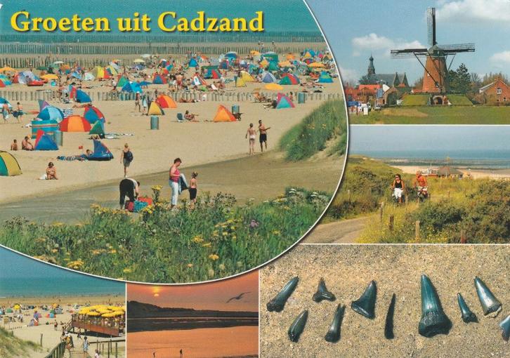 CADZAND Strand Molen Fietspad Haaientanden Groeten, Verzamelen, Ansichtkaarten | Nederland, Gelopen, Zeeland, 1980 tot heden, Verzenden