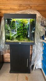 Juwel Lido 120, Ophalen, Gebruikt, Leeg aquarium