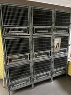 Kattenkennels, Dieren en Toebehoren, Katten-accessoires, Ophalen