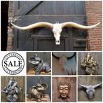 Longhorn Schedel 1.70m - Stoere Decoratie, Ophalen of Verzenden, Nieuw