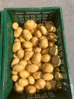 biologische aardappelen te koop, Ophalen of Verzenden
