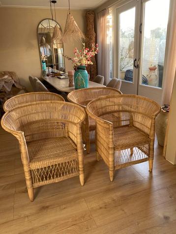 Set van 4 Mala Afrika stoelen/fauteuils beschikbaar voor biedingen
