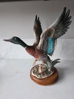 Giuseppe Armani Wilde Eend Beeld, Ophalen