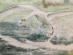 Originele Aquarel vliegende zwaan A. de Heus, Antiek en Kunst, Kunst | Schilderijen | Klassiek, Ophalen of Verzenden