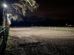 Paardenbak / Rijbak verlichting 4 x 200watt led nieuw, Ophalen of Verzenden, Nieuw